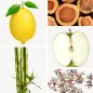 Preview: Duftnoten: Zitrone, Bambus, Zdernholz, Jasminblüte, Apfel Preview: Duftnoten: Zitrone, Bambus, Zdernholz, Jasminblüte, Apfel